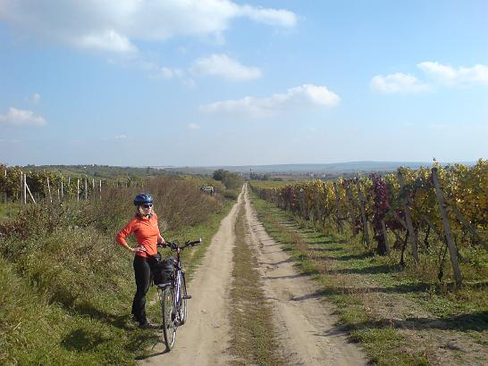 DSC00335.JPG - Vinobraní Hustopeče 2007