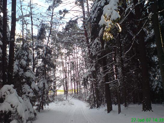 DSC00044.JPG - na běžky po 25-ti ltech