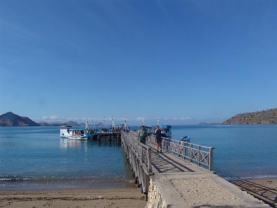 DSC00578.JPG - Komodo