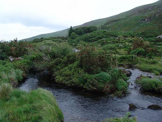 DSC09567.JPG - Gap of Dunloe