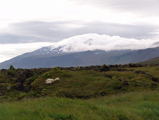 DSC06139.JPG - Sopka Snaefellsjokull