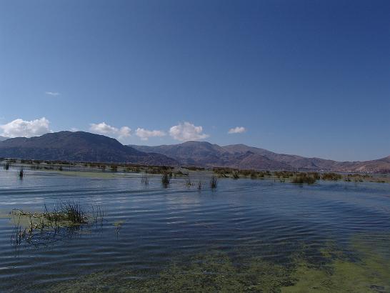 DSC02456.JPG - další den nejvýše položenému splavnému jezeru na světě (3800m), bájnému jezeru Titicaca