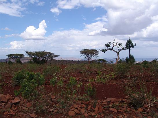 DSC07874.JPG - Etiopie 2009 - Konso