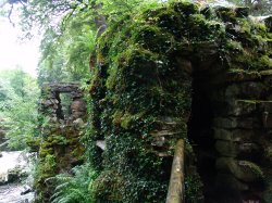 Tollymore Forest Park